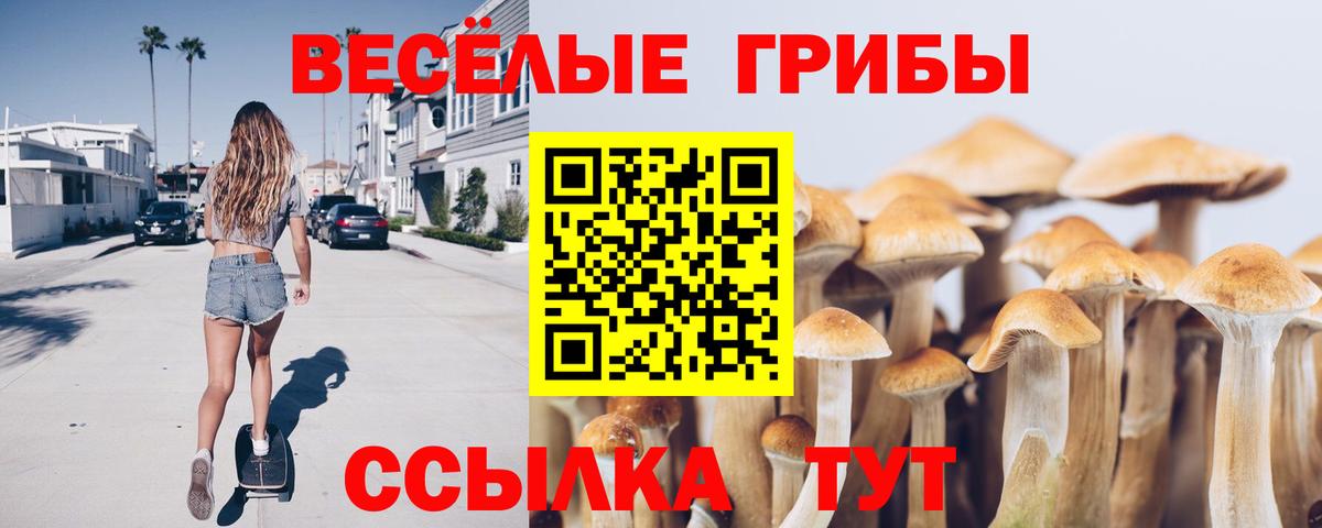 Псилоцибиновые грибы мухоморы  Вход с VPN  Тосно  Псилоцибиновые грибы мицелий 
